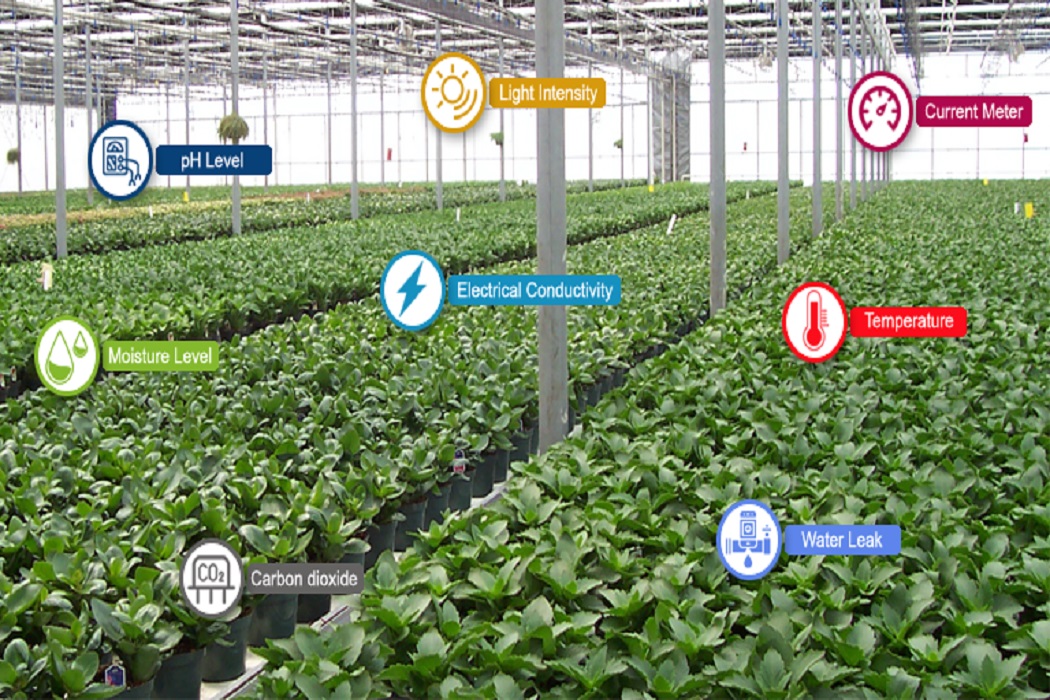 /upload/investmentSliders/1636267764Green-House-768x415-1.jpg